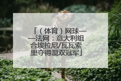 （体育）网球——法网：意大利组合埃拉尼/瓦瓦索里夺得混双冠军
