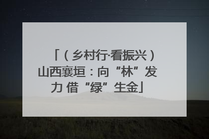 （乡村行·看振兴）山西襄垣：向“林”发力 借“绿”生金