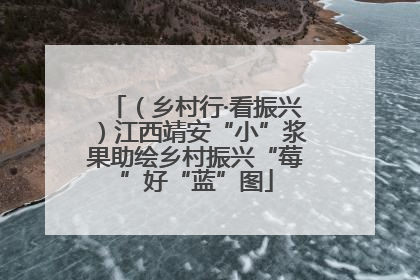 （乡村行·看振兴）江西靖安“小”浆果助绘乡村振兴“莓”好“蓝”图