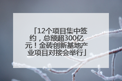 12个项目集中签约，总额超300亿元！金砖创新基地产业项目对接会举行