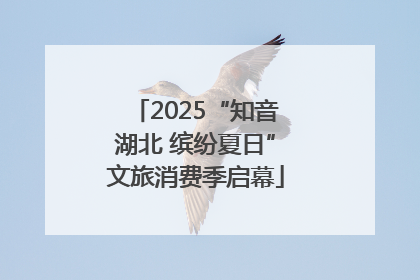 2025“知音湖北 缤纷夏日”文旅消费季启幕