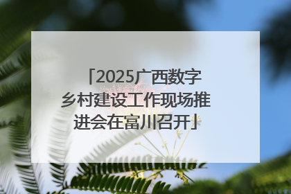 2025广西数字乡村建设工作现场推进会在富川召开