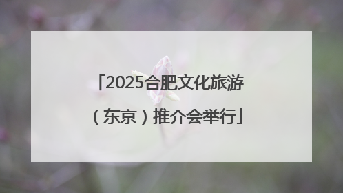2025合肥文化旅游（东京）推介会举行
