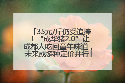 35元/斤仍受追捧！“成华猪2.0”让成都人吃回童年味道，未来或多种定价并行