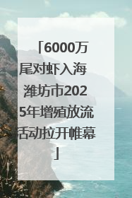6000万尾对虾入海 潍坊市2025年增殖放流活动拉开帷幕
