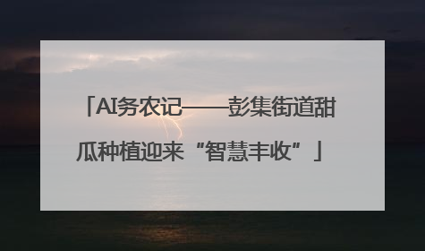 AI务农记——彭集街道甜瓜种植迎来“智慧丰收”