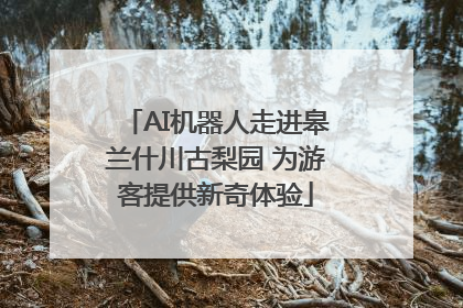AI机器人走进皋兰什川古梨园 为游客提供新奇体验